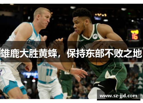 雄鹿大胜黄蜂，保持东部不败之地