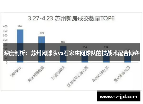 深度剖析：苏州网球队vs石家庄网球队的技战术配合博弈