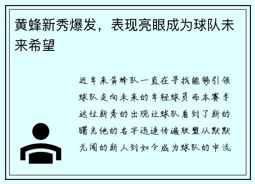 黄蜂新秀爆发，表现亮眼成为球队未来希望