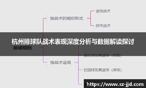 杭州排球队战术表现深度分析与数据解读探讨